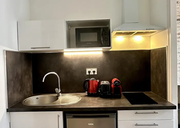 Apartamento Hyper Centre Angers