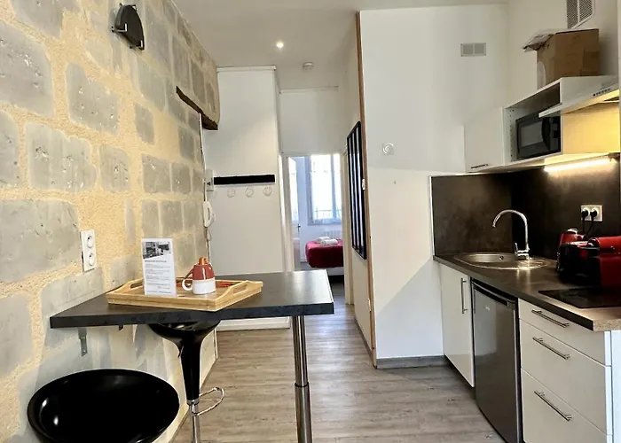 Apartment Hyper Centre Angers